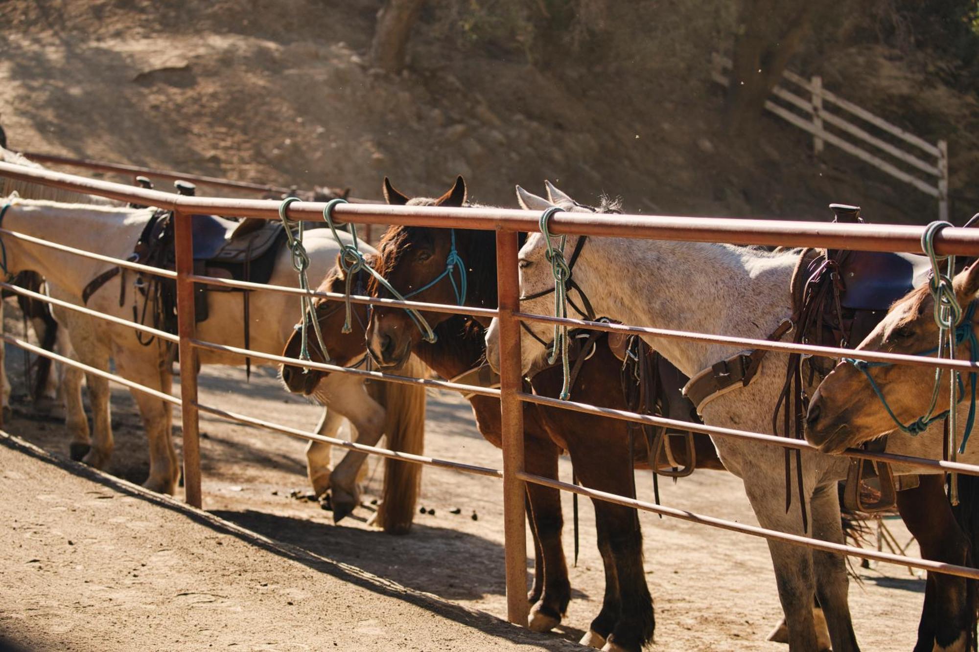 Circle Bar B Guest Ranch Hotel 4*