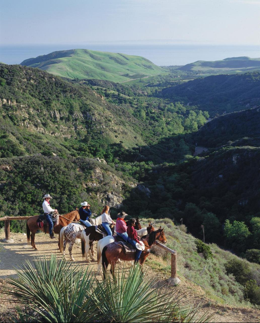 Hotel Circle Bar B Guest Ranch 4*