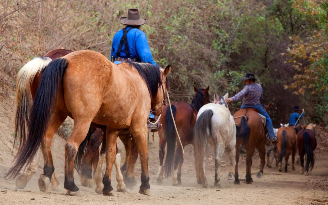 Circle Bar B Guest Ranch Hotel 4*