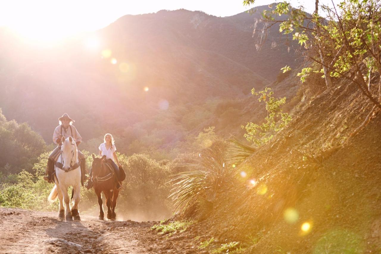 Circle Bar B Guest Ranch Hotel 4*