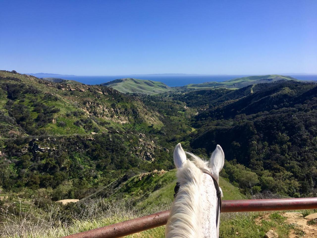 Circle Bar B Guest Ranch 4*
